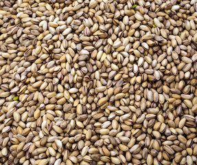 Pistachio nuts