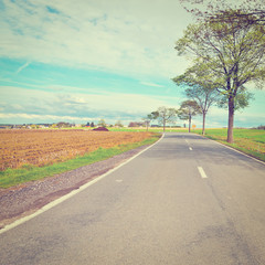 Fototapeta premium Fields in Belgium