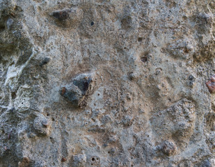 Бетон с камнями