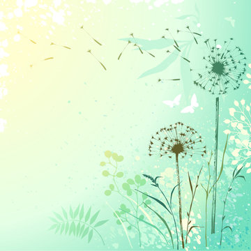 Fresh Dandelion Background