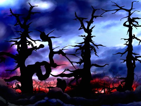 dark and scary forest trees background