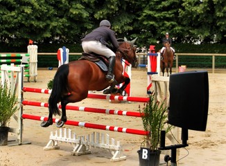 Sport équestre.
