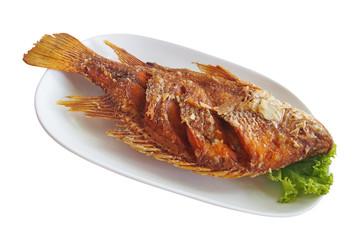 fried nile tilapia fish with green lettuce on white plate