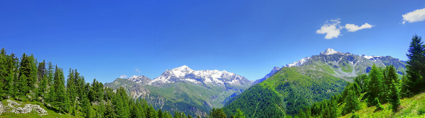 Panorama des Alpes en été
