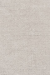 Artist's Linen Duck Coarse Canvas Single Primed Grunge Texture