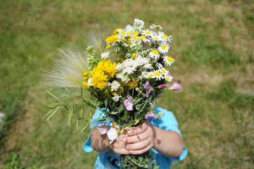 Boy giving wildflowers