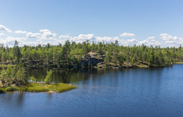 landscape with forest lake