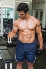 Fototapeta na wymiar Shirtless muscular man exercising with dumbbells in gym