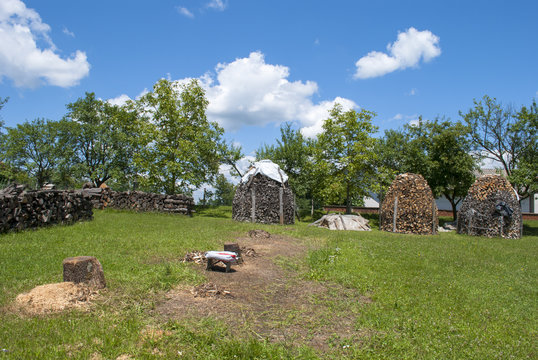 Stacked Wood in Garden