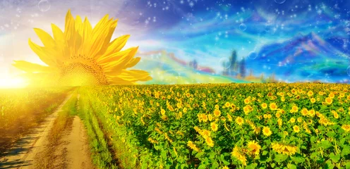 Fotobehang Oranje Droom  © denis_333