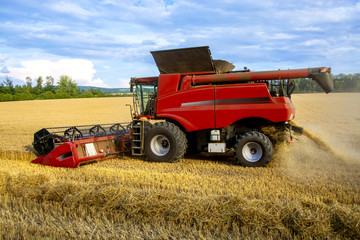 Obraz premium Harvester harvesting crops