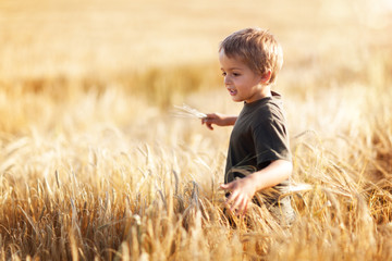 Boy in wheat field - Powered by Adobe