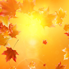 Delicate autumn sun with glare on gold sky.