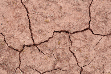 close-up of dry dracked soil ground