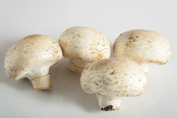 Fresh, white, button mushrooms on pile.  Selective focus.