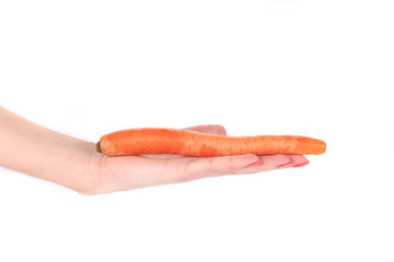 Women's hand holds fresh carrot.