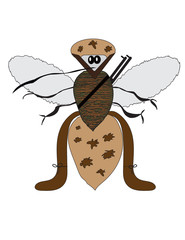 Mosquito dressed in fatigues as in army, military, soldier