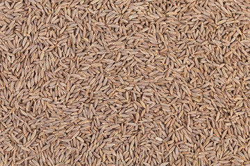 Close up of cumin seeds. Macro.