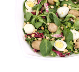 Close up of mushroom salad.