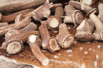 corna di cervo per preparazione coltelli