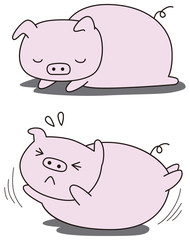 軽い運動をする豚