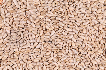 Peeled sunflower seeds.