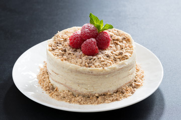 delicious cake with custard and raspberry on a dark background