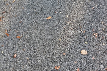 gray cement background with little leaves