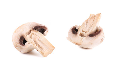 Two halves of the mushroom.