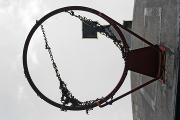 the basket
