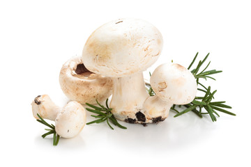 Champignons and rosemary leaves.