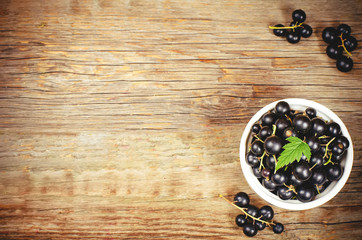 black currants in the white bowl