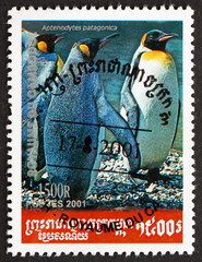 Obraz premium Postage stamp Cambodia 2001 King Penguin