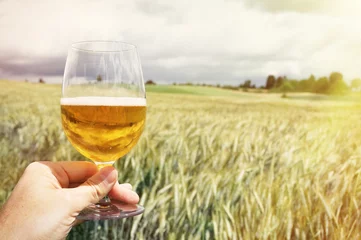 Poster Glass of beer in the hand against barley ears © HappyAlex