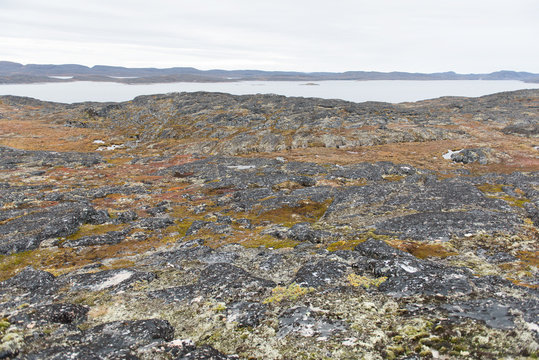 Arctic landscape around Aasiaat