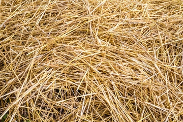 Straw background