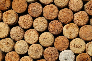 stand under a hot dish. corks from wine bottles