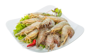 Raw tiger shrimps