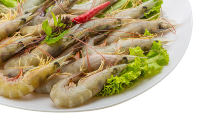 Raw tiger shrimps