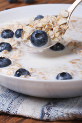 tasty breakfast of muesli with blueberries and milk vertical