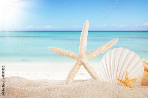 море пляж песок побережье солнце бесплатно