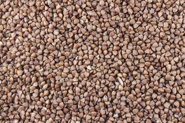 Buckwheat scattered to make background or texture. Macro.