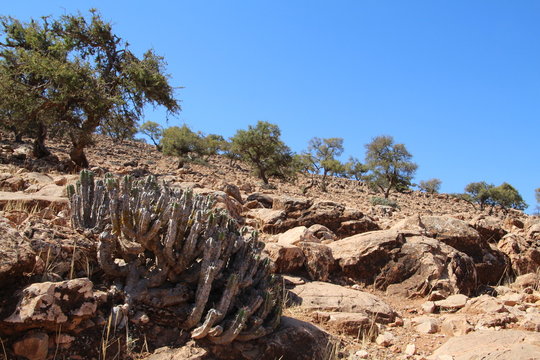 Kateen In Marokko