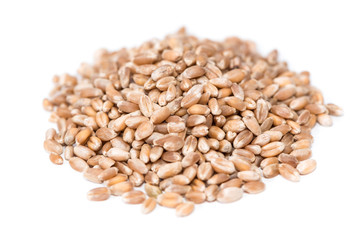 Wheat Grains (isolated on white)