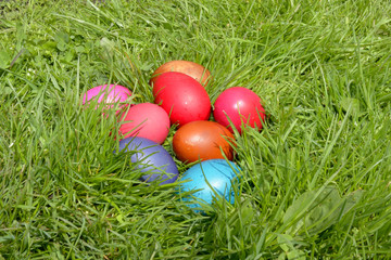 Easter Dekoration with colorful egs in grass