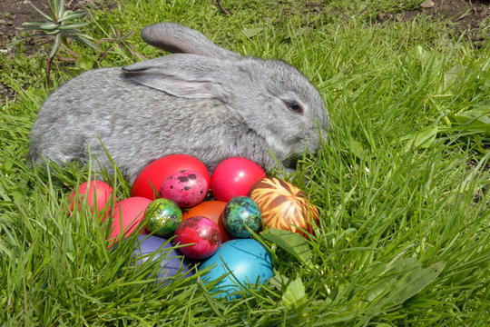 Easter eggs and the Easter bunny on grass