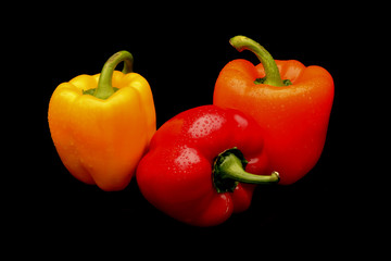 Capsicum on black background