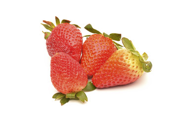 Frech strawberries on white background