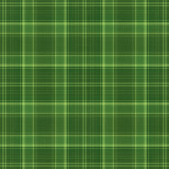 dark green plaid