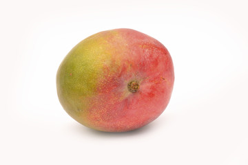 Mango fruit on white background